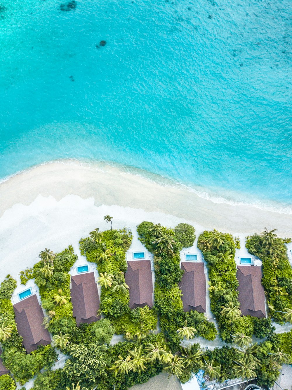 aerial photography of beach resort