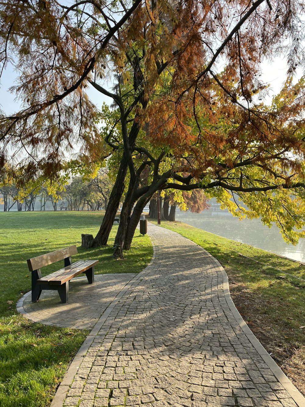 bench facing pathway and body of water