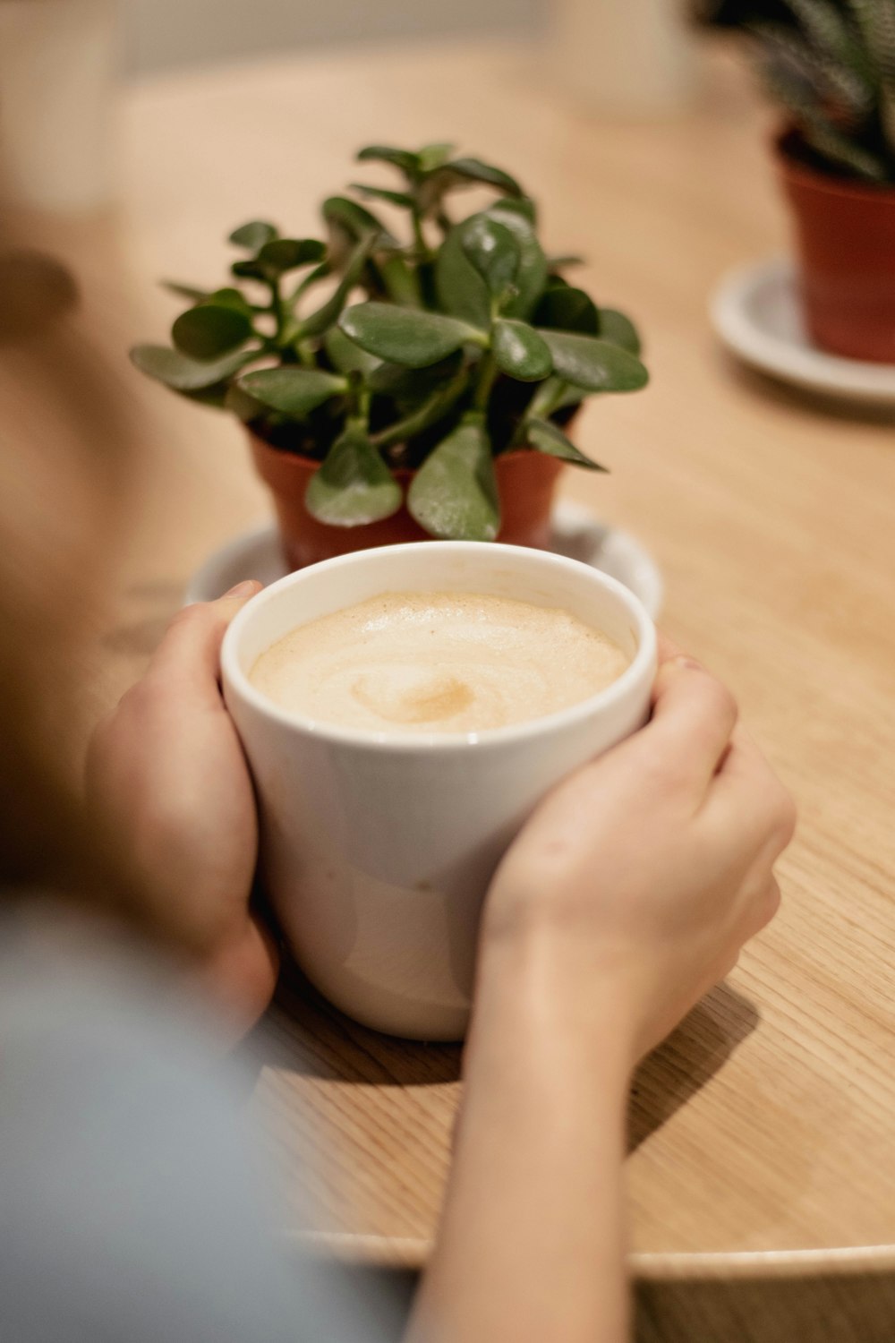 cup of latte beside jade plant