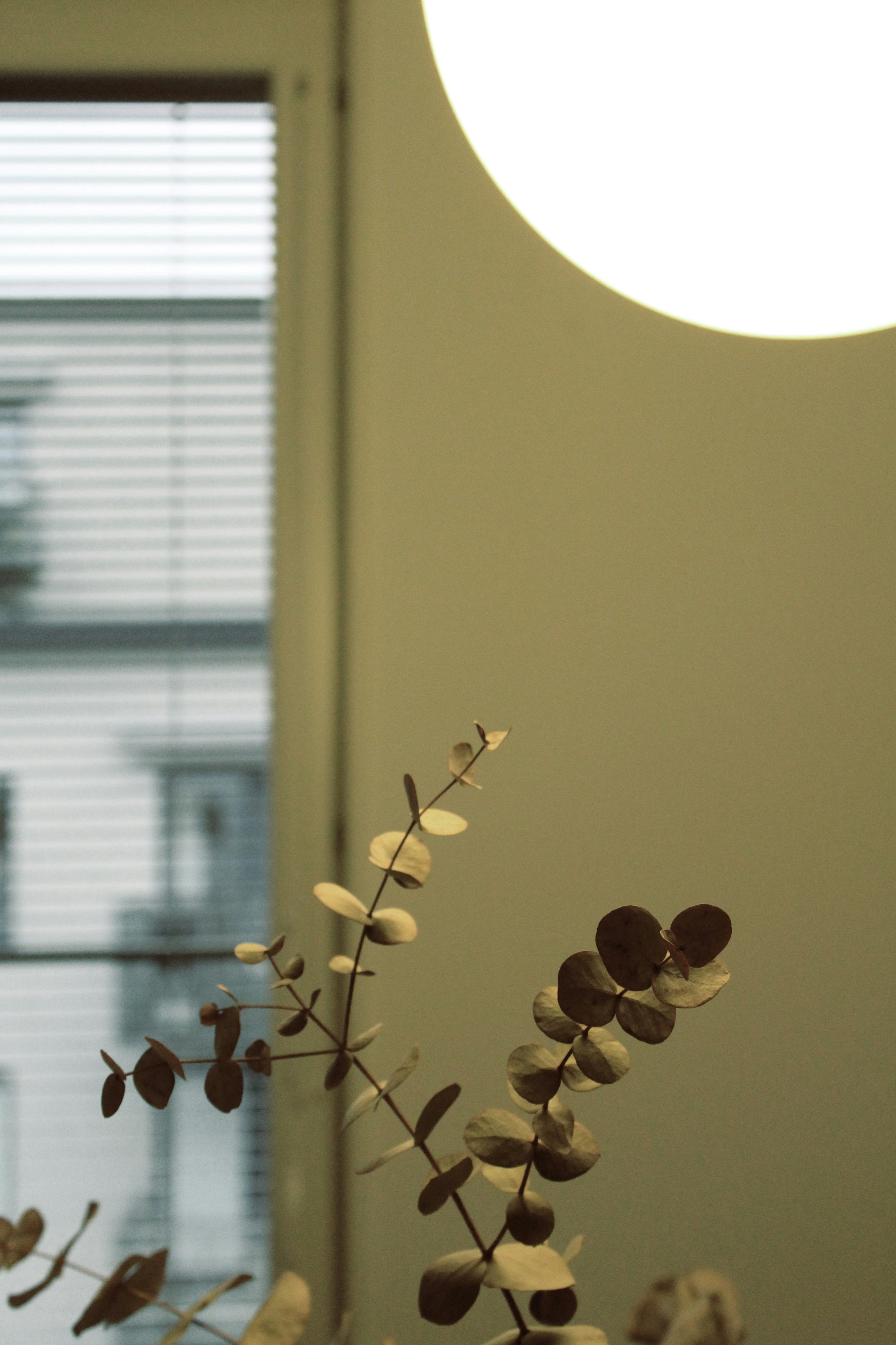 Photo by olesia_bahrii