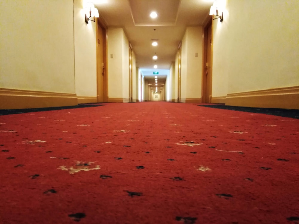 hallway with sconces and carpet