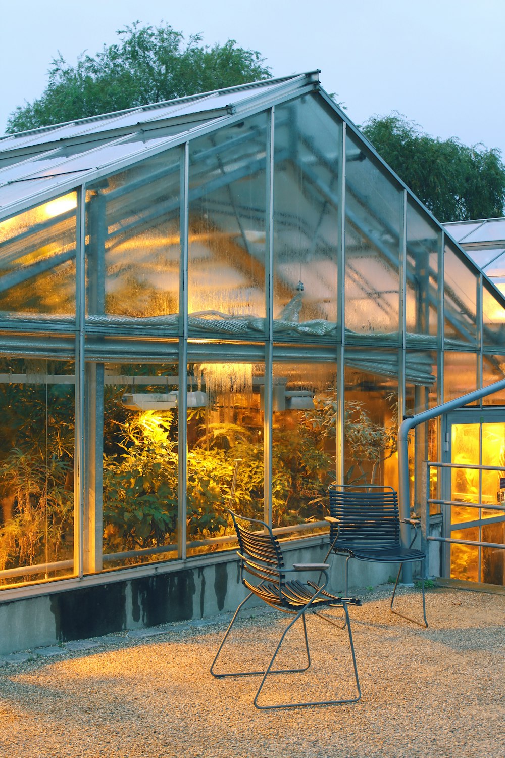 gray greenhouse building