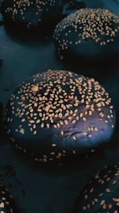 Several dark burger buns topped with sesame seeds are arranged in close proximity. The buns have a glossy finish and are set against a dark background.