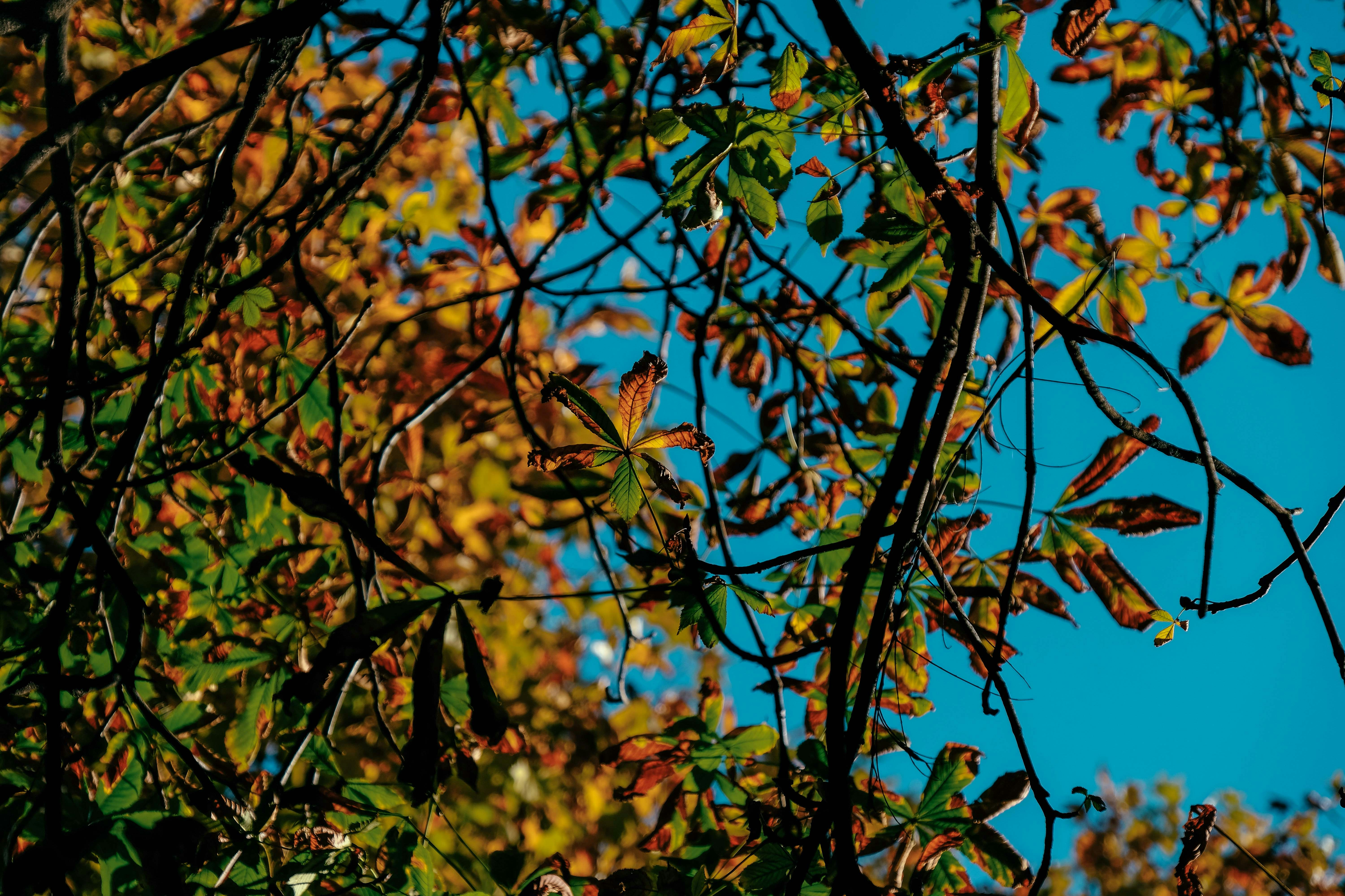 Photo by francesco_ungaro