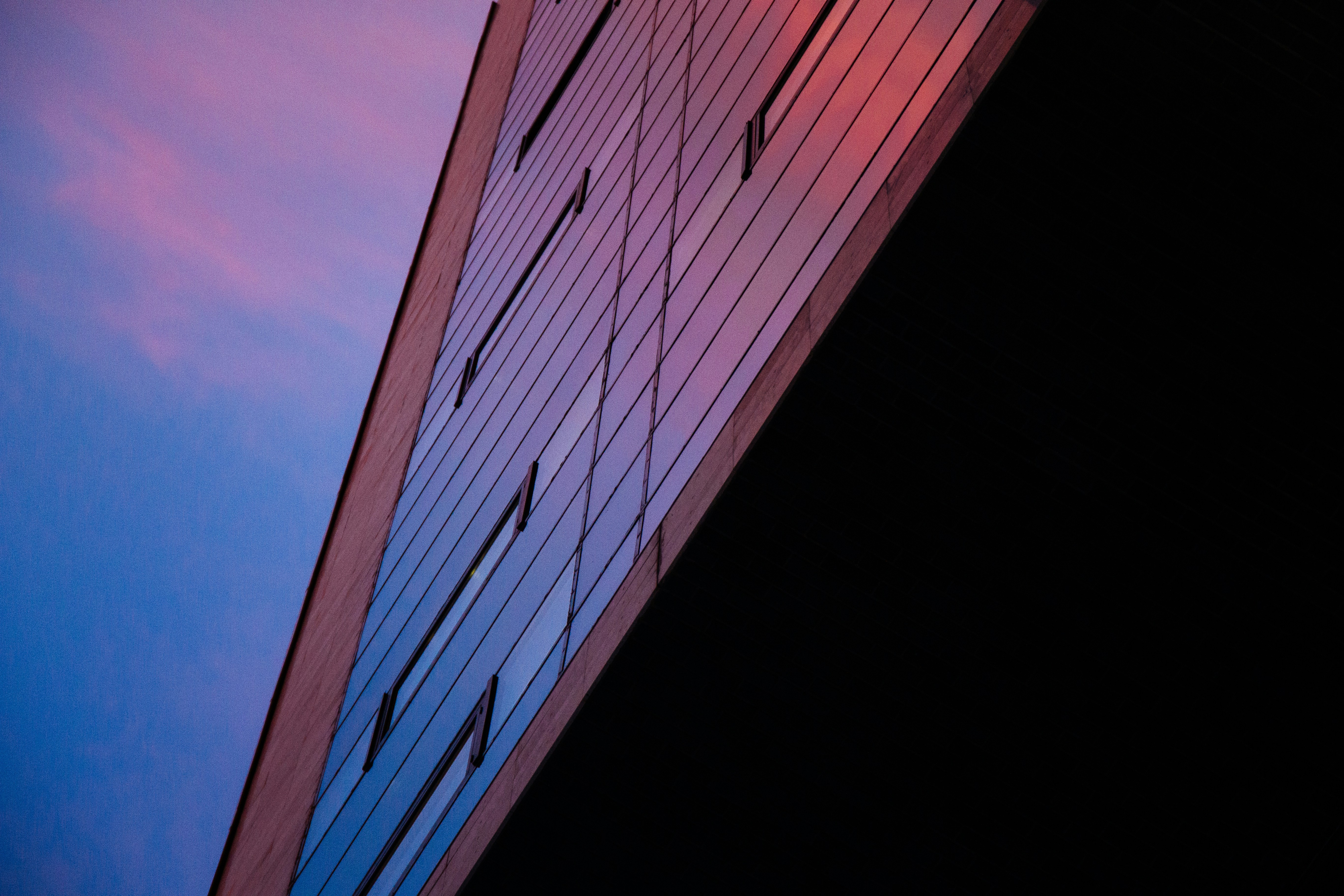 Dog House header image