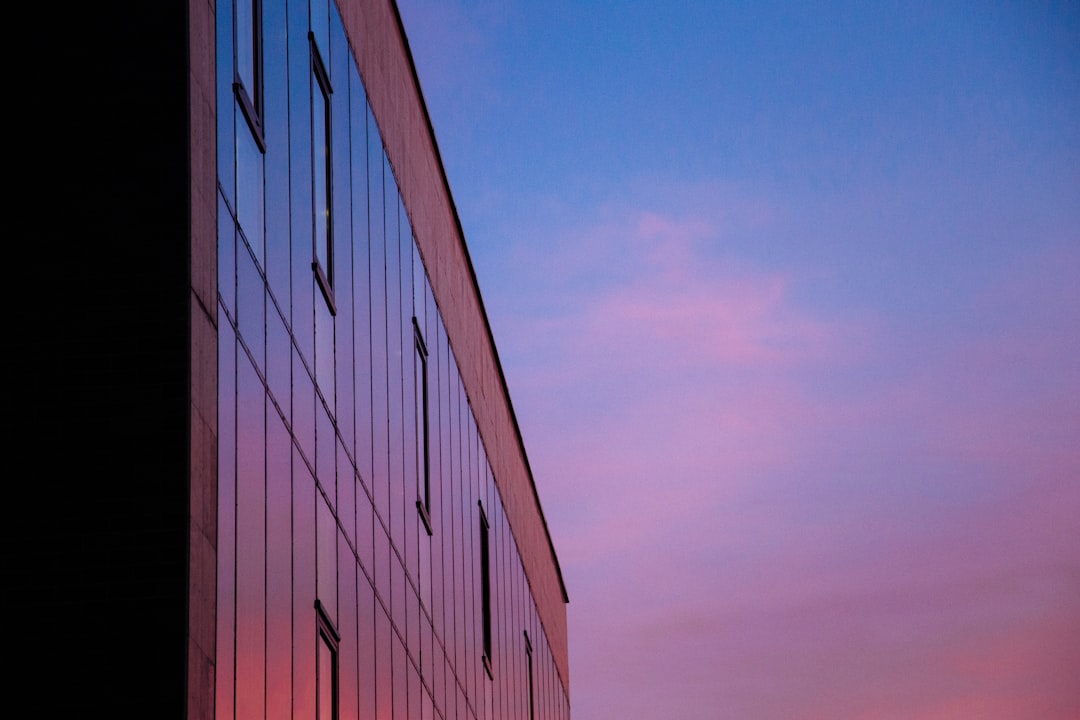 view photography of curtain glass building during dawn