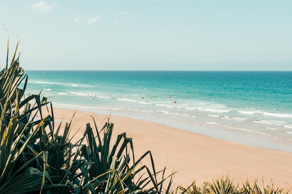 people on beach under blue and white sky