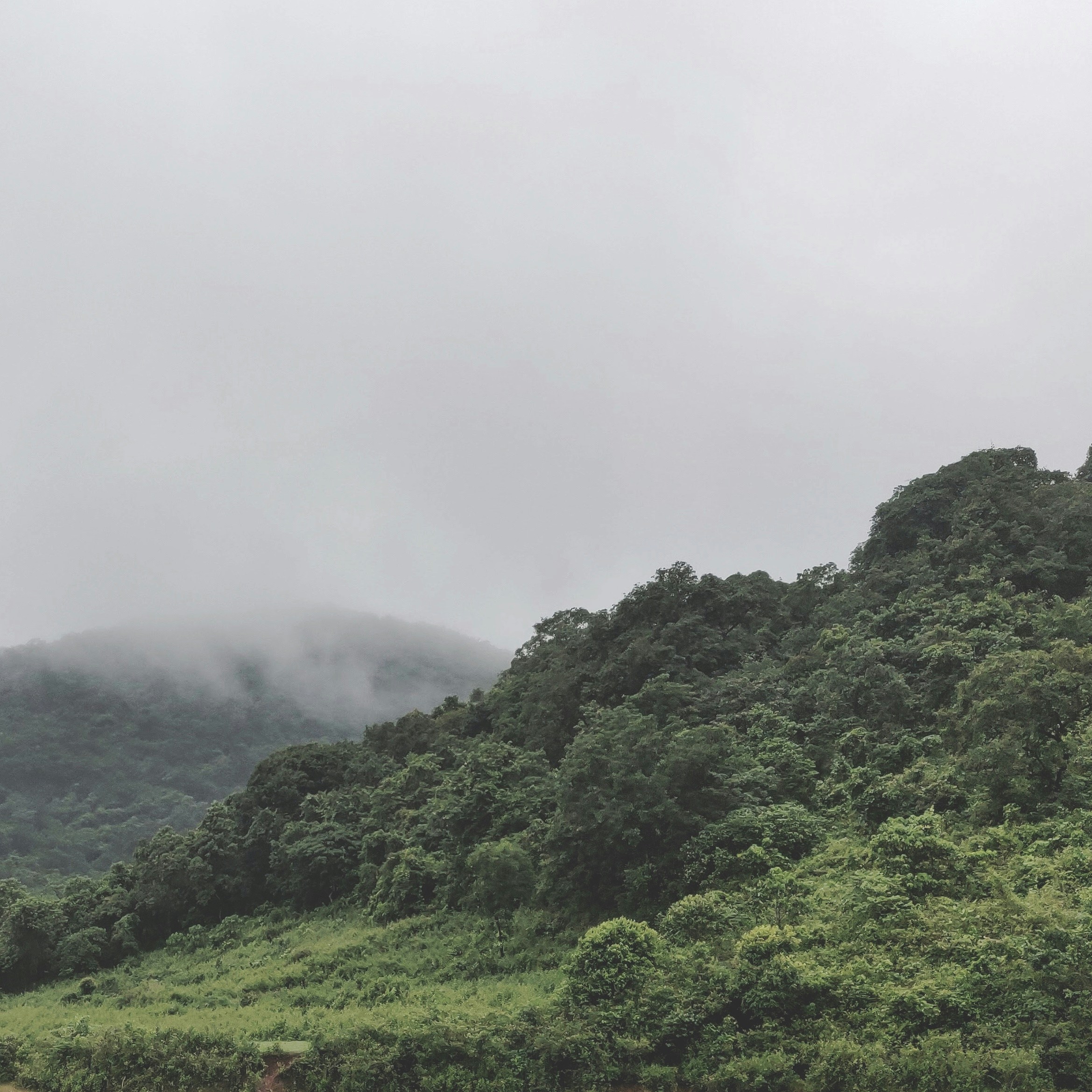 Photo by weirdpolariods