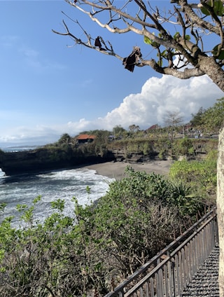 A scenic view of a property near the beach.