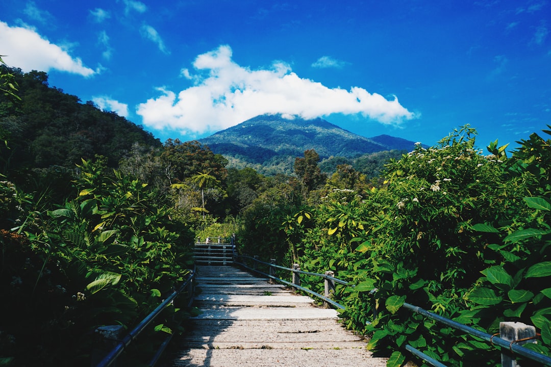 Travel Tips and Stories of Mount Gede in Indonesia