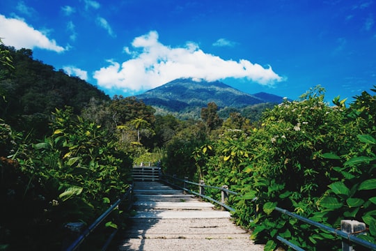 Mount Gede things to do in Sukabumi