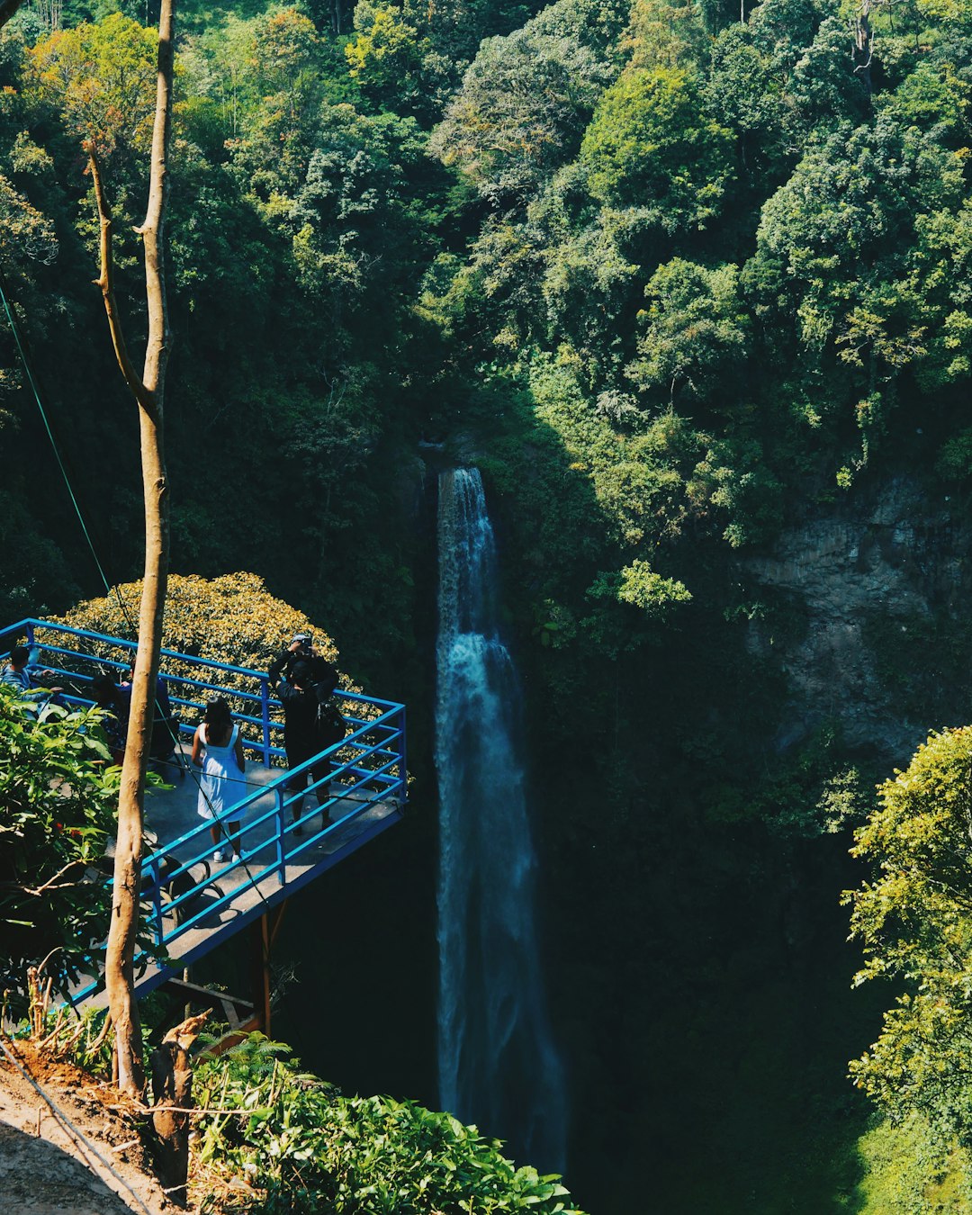 Waterfall photo spot Curug Cimahi Taman Nasional Gunung Gede Pangrango