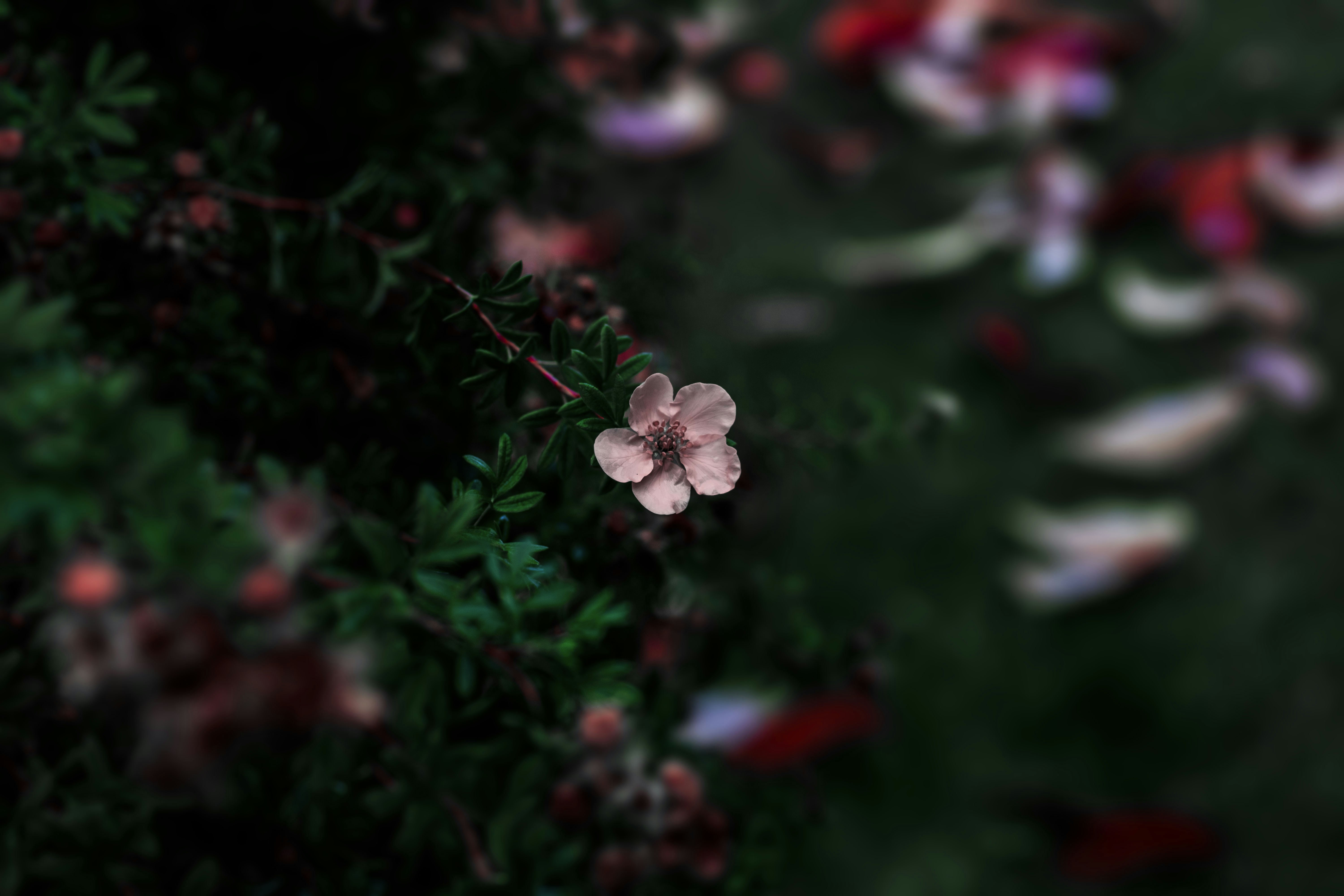 Photo by patunsplash9