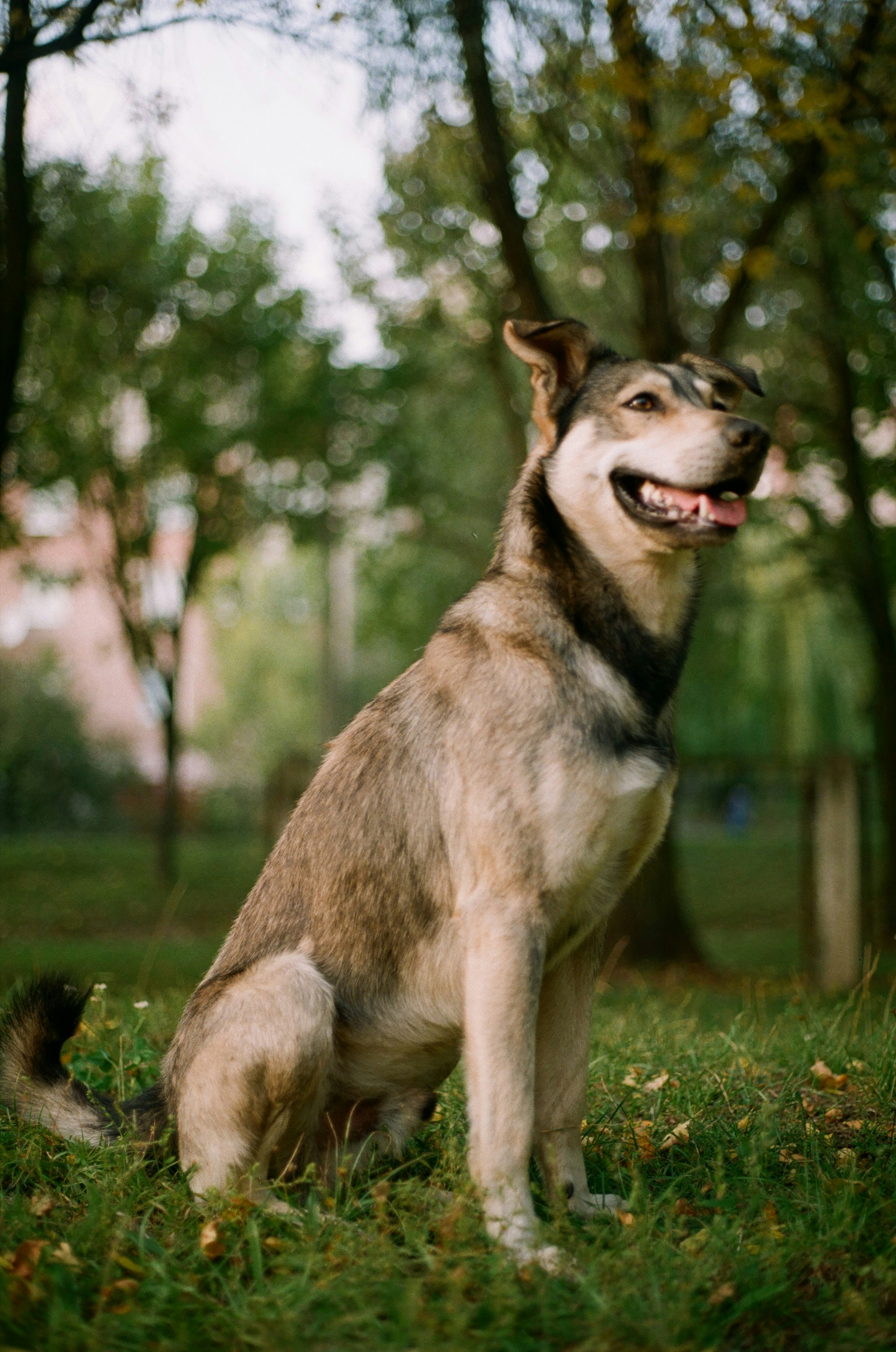 Photo by jusfilm