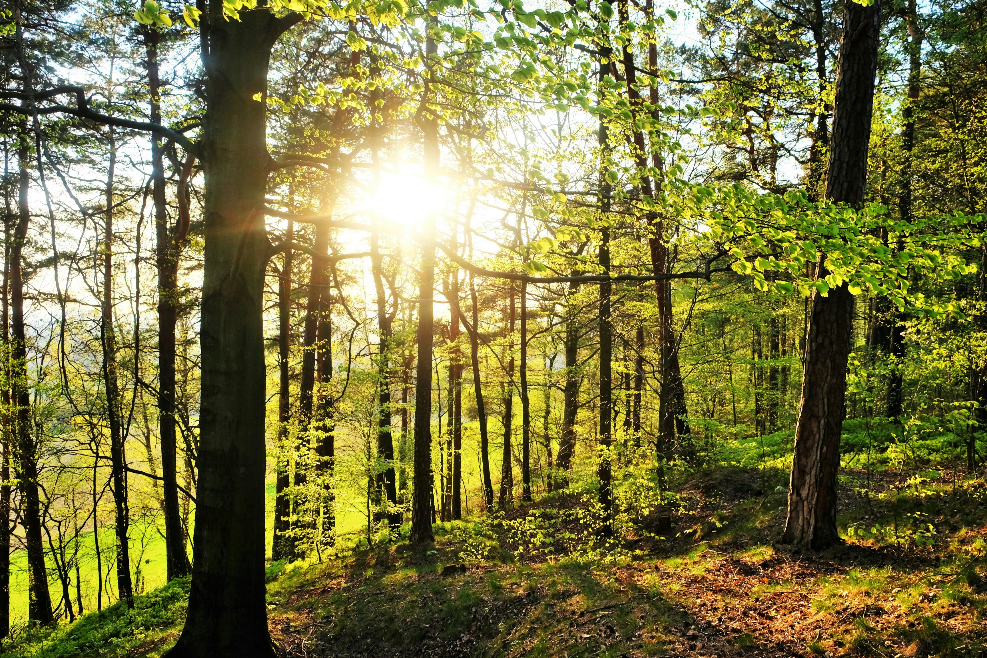 Photo by kiez_sebnitz