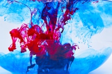 Vibrant swirls of red and blue ink are suspended in clear water. The colors intertwine and diffuse, creating intricate, fluid patterns that resemble abstract art. The contrast between the bright red and cool blue creates a dynamic visual effect.