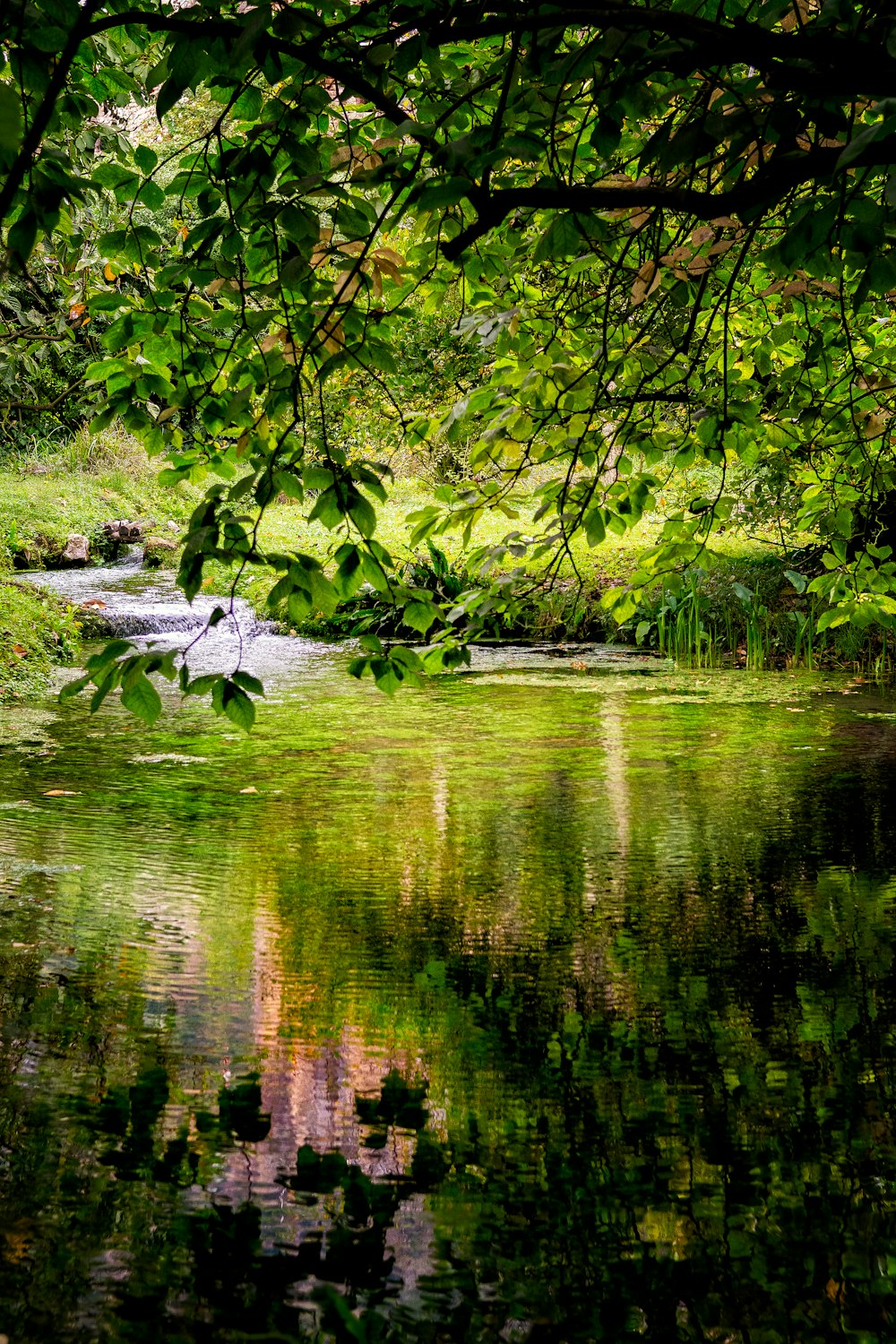 body of water photograph