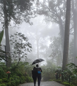 couple under umbrella