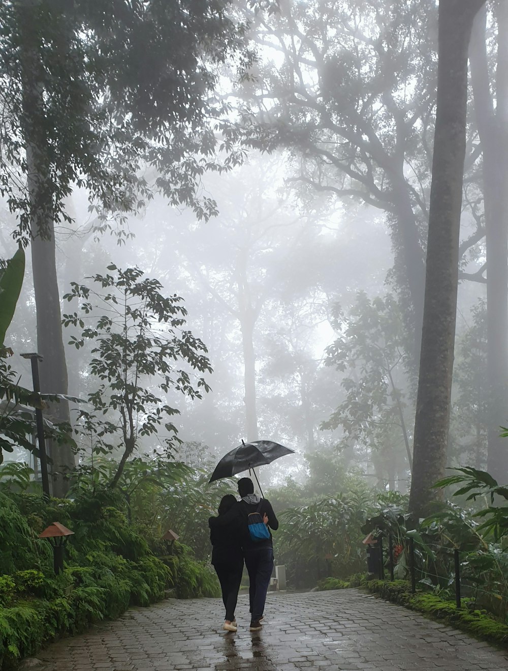 casal sob guarda-chuva