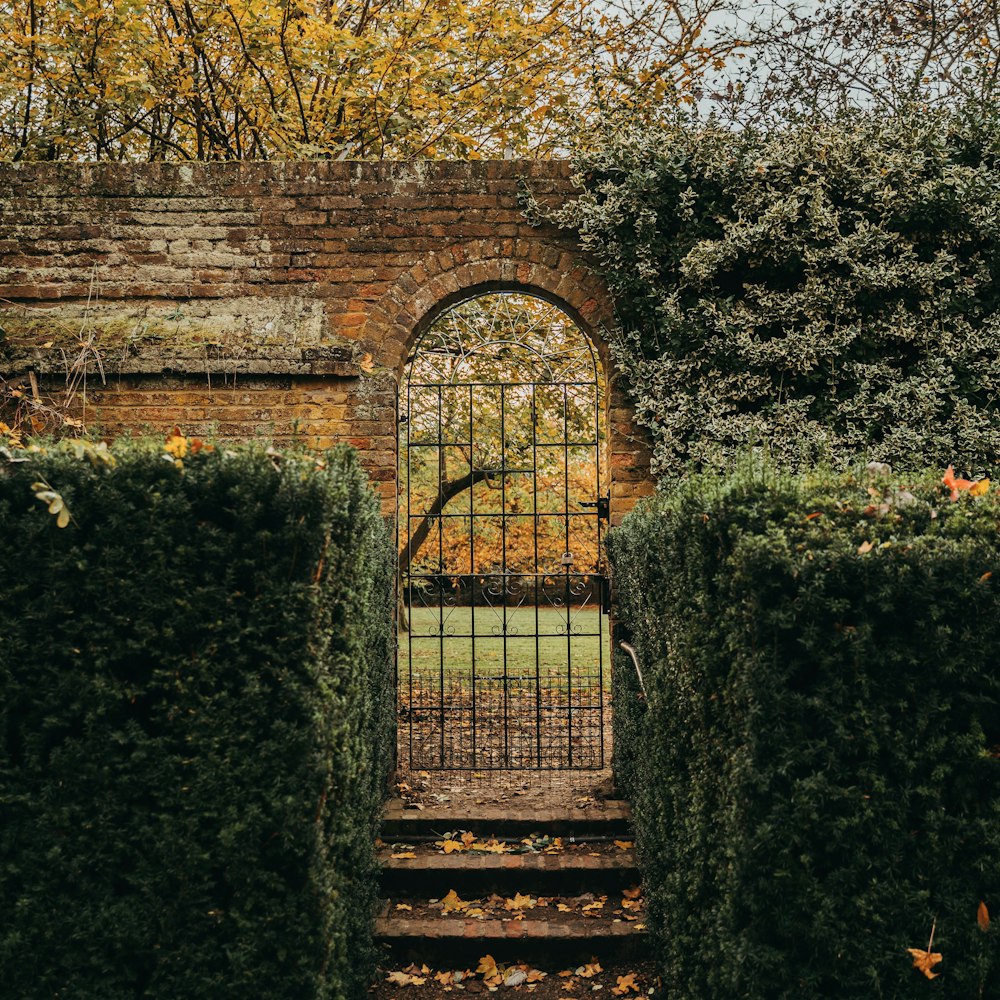 black metal gate