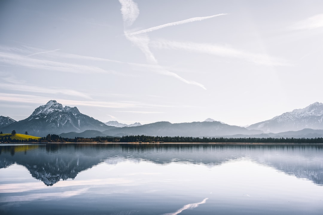 lake in forest