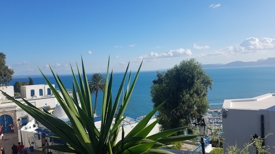 Overlooking a coastal view, palm trees and lush greenery are prominent, with traditional white and blue architecture in the foreground set against the backdrop of a vast, serene sea. The sky is clear, scattered with a few fluffy clouds.