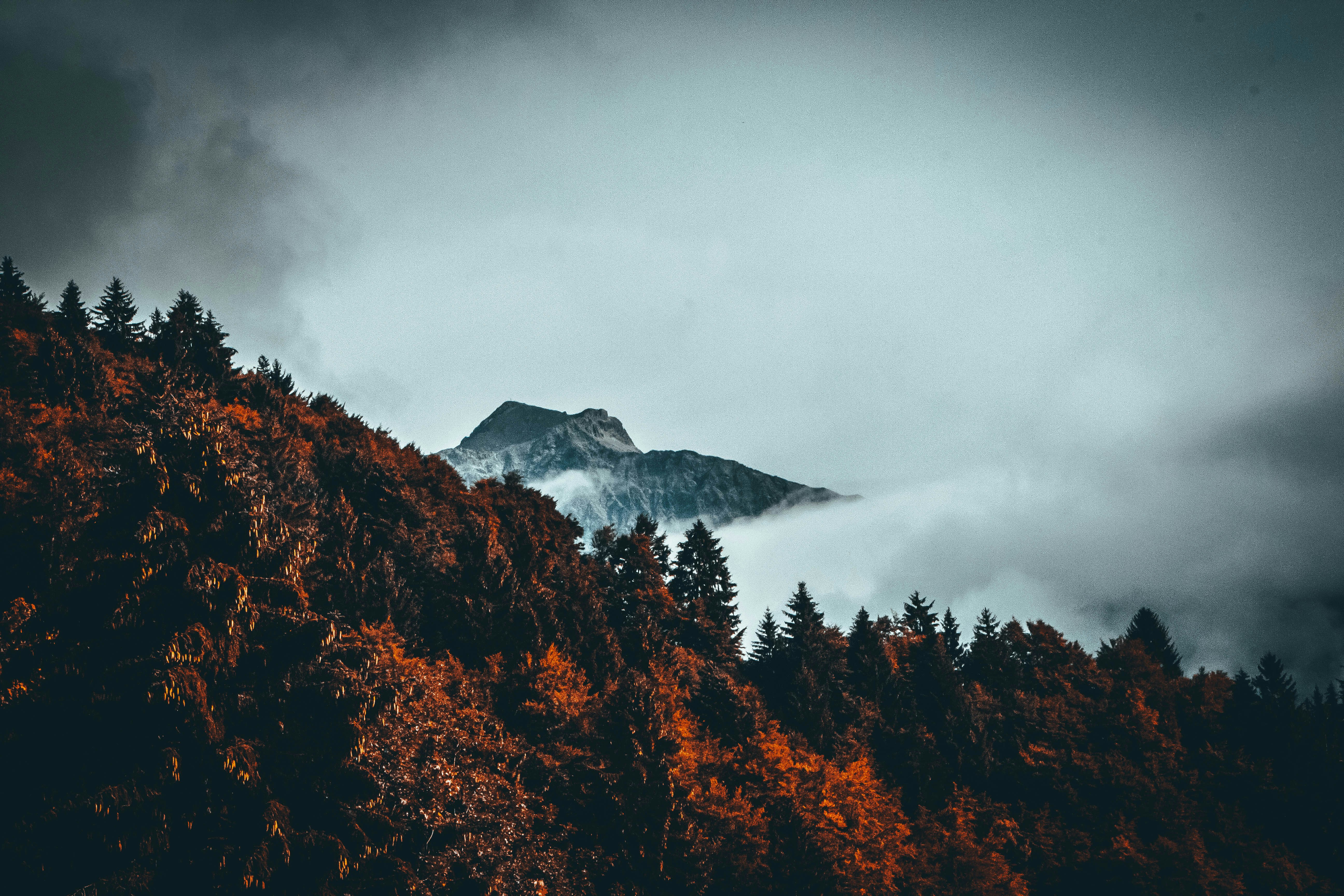 green trees on mountains under white cloudy sky