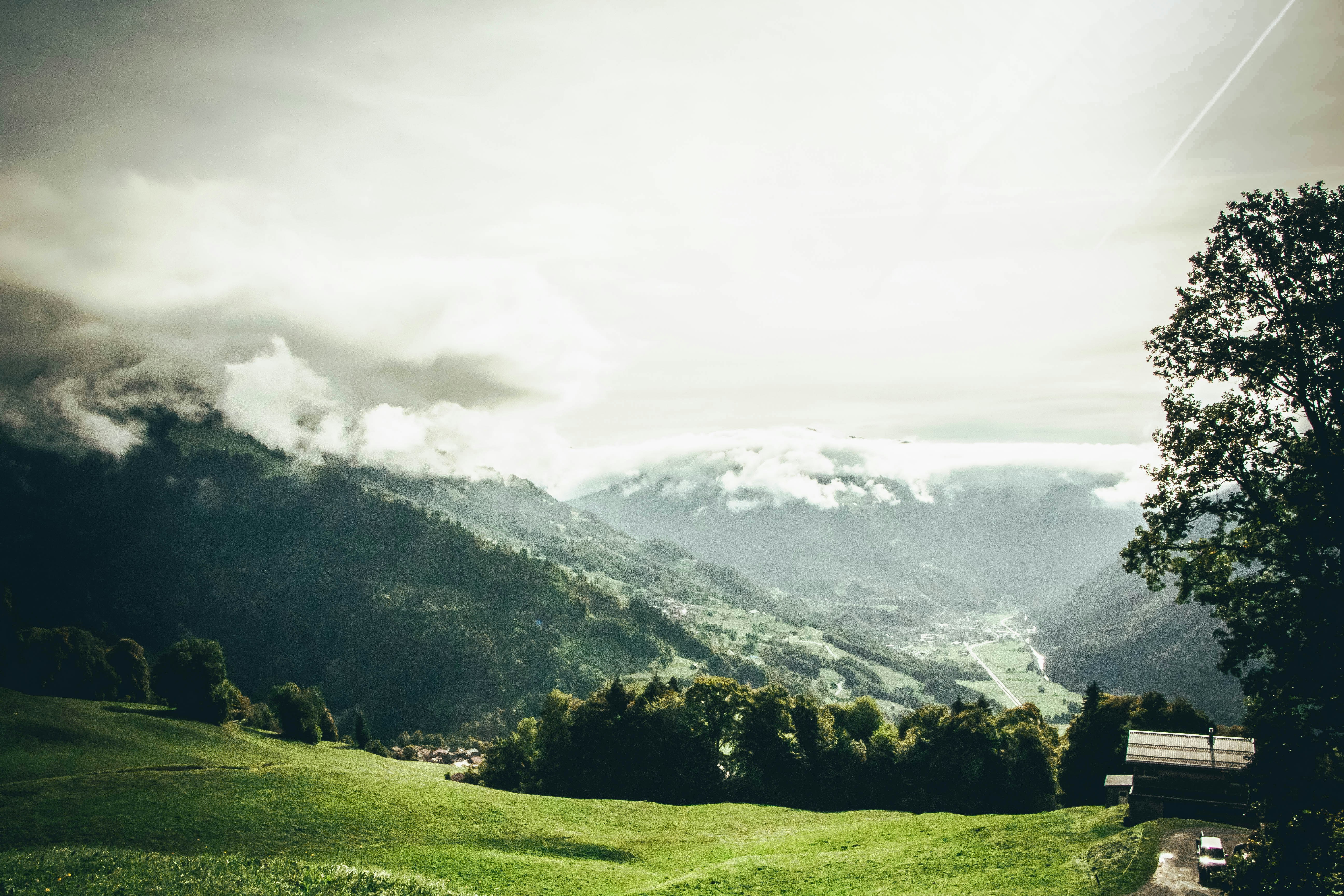 Photo by janoschphotos