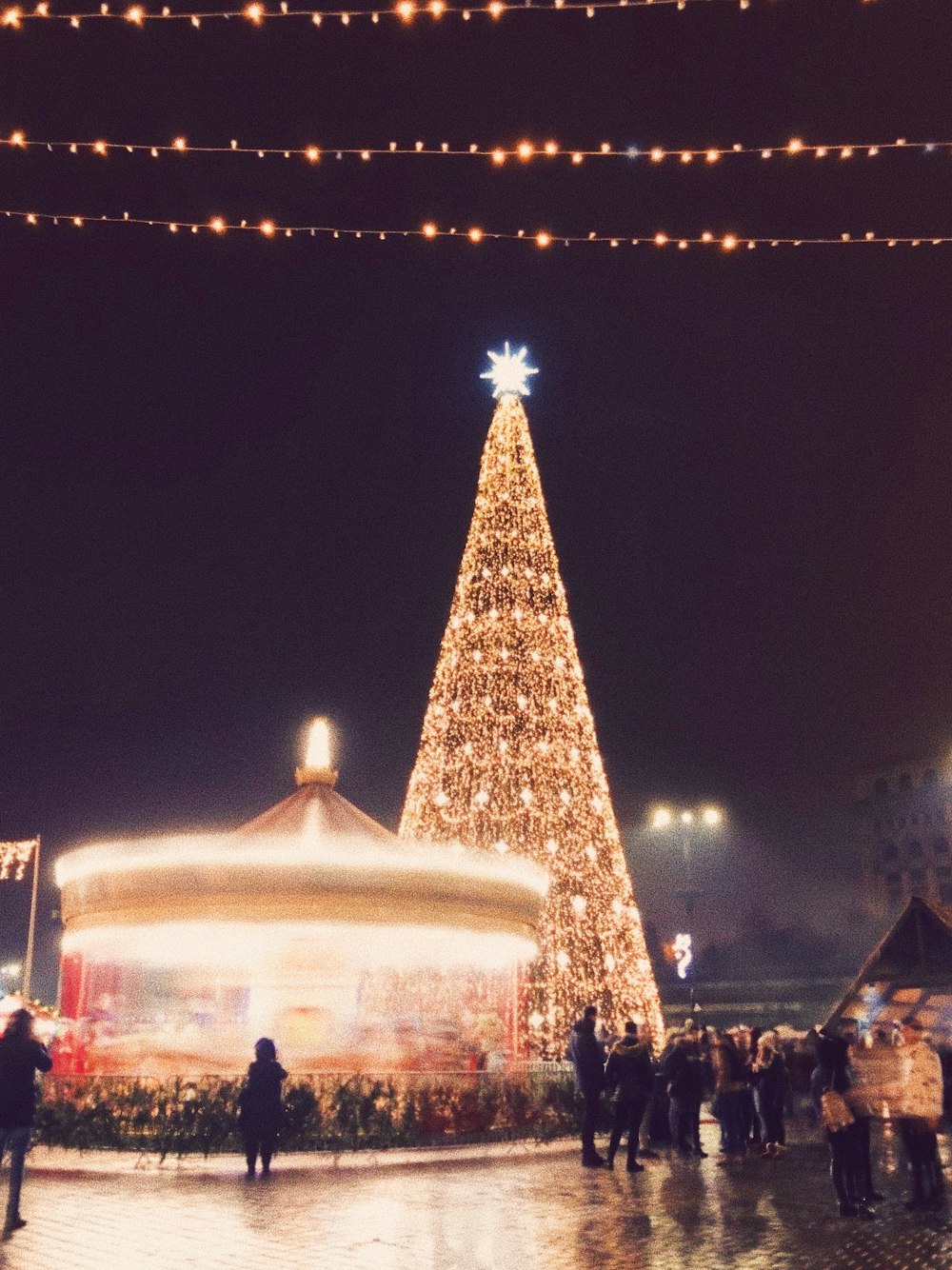 people standing outside beside christmas tree