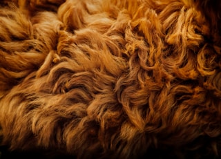 fur texture