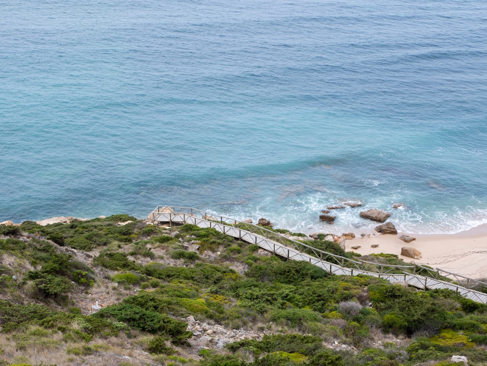 dock on seashore