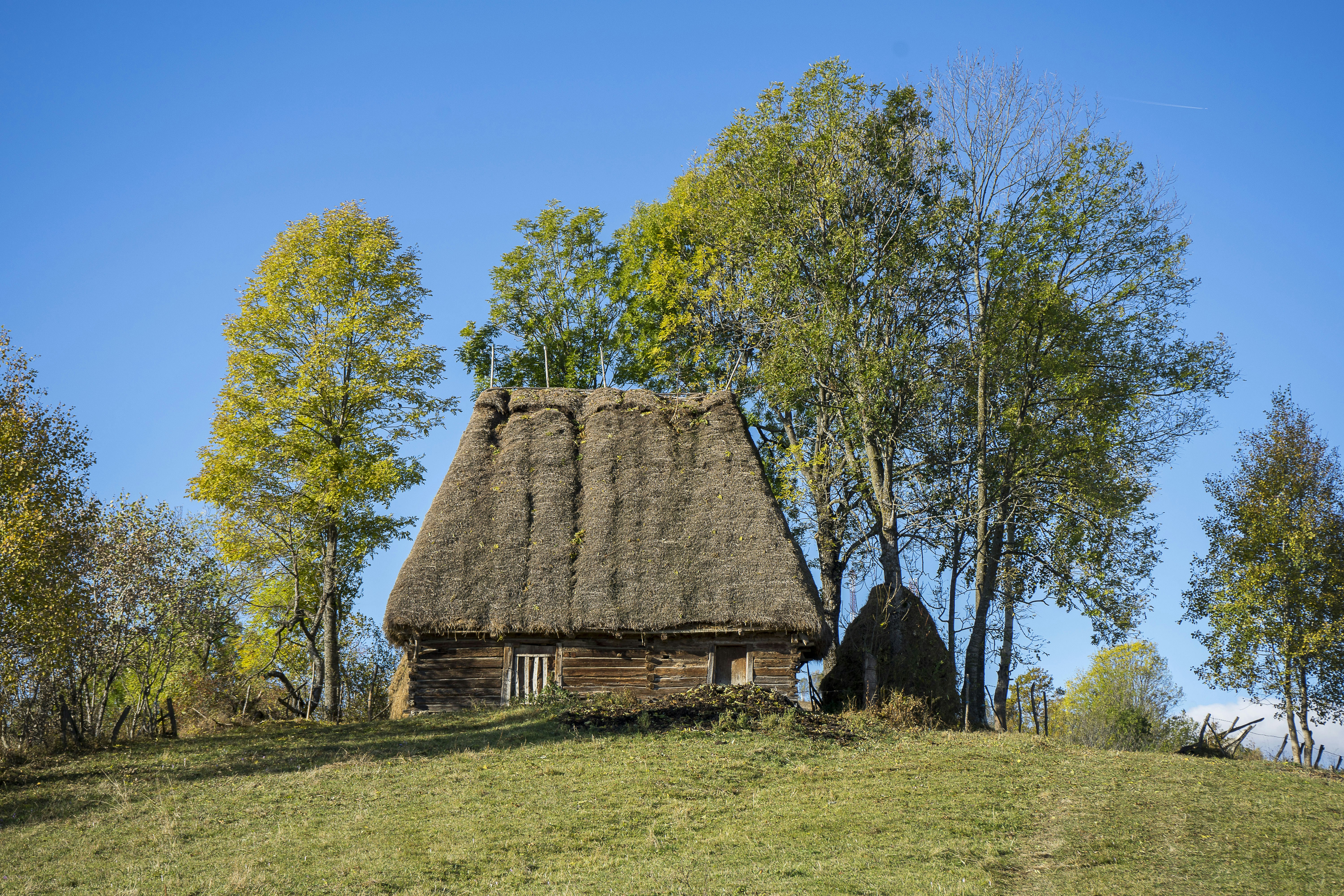 Photo by strinoiumarian