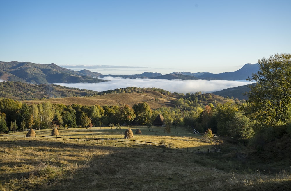 aerial photography of field with rolling hay surrounded with green trees viewing mountain under blue and white sky