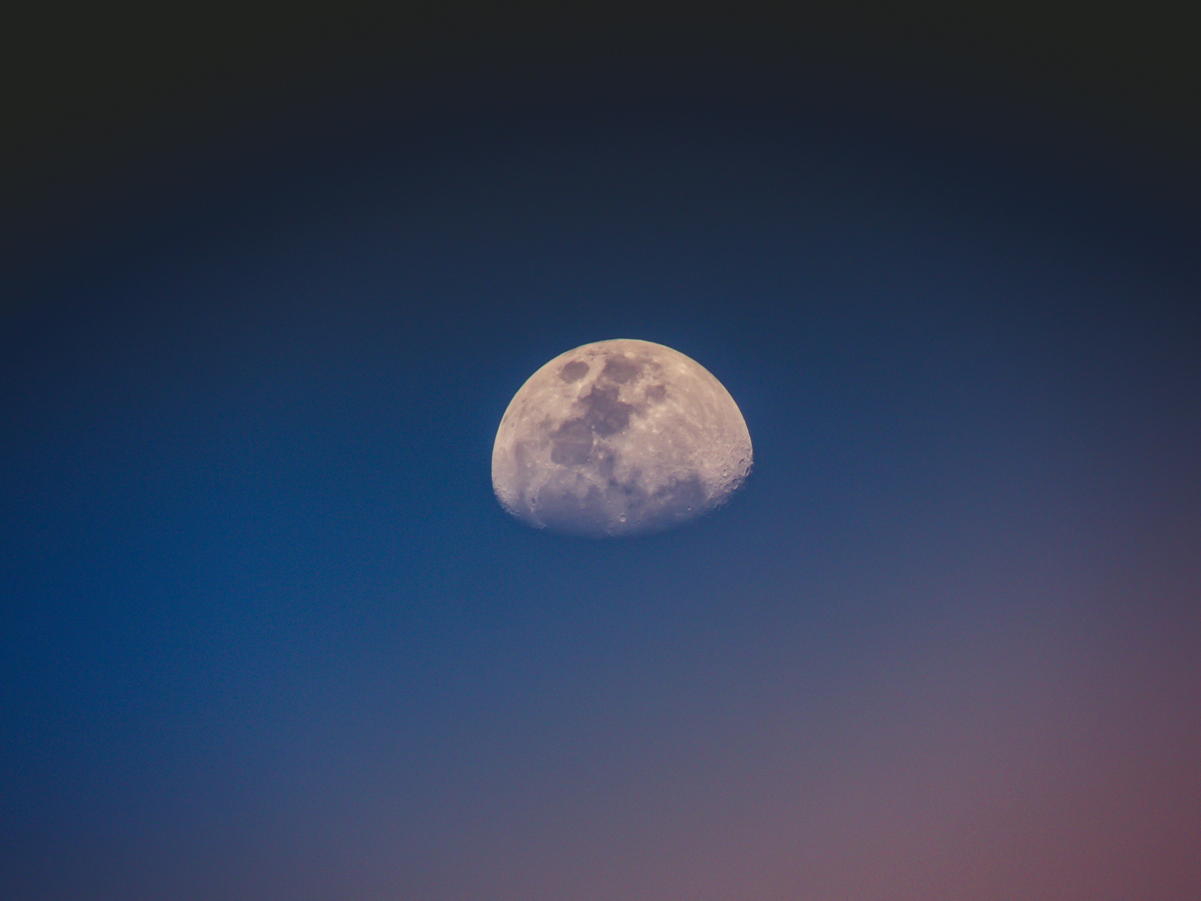 Photo by mohamed_lammah