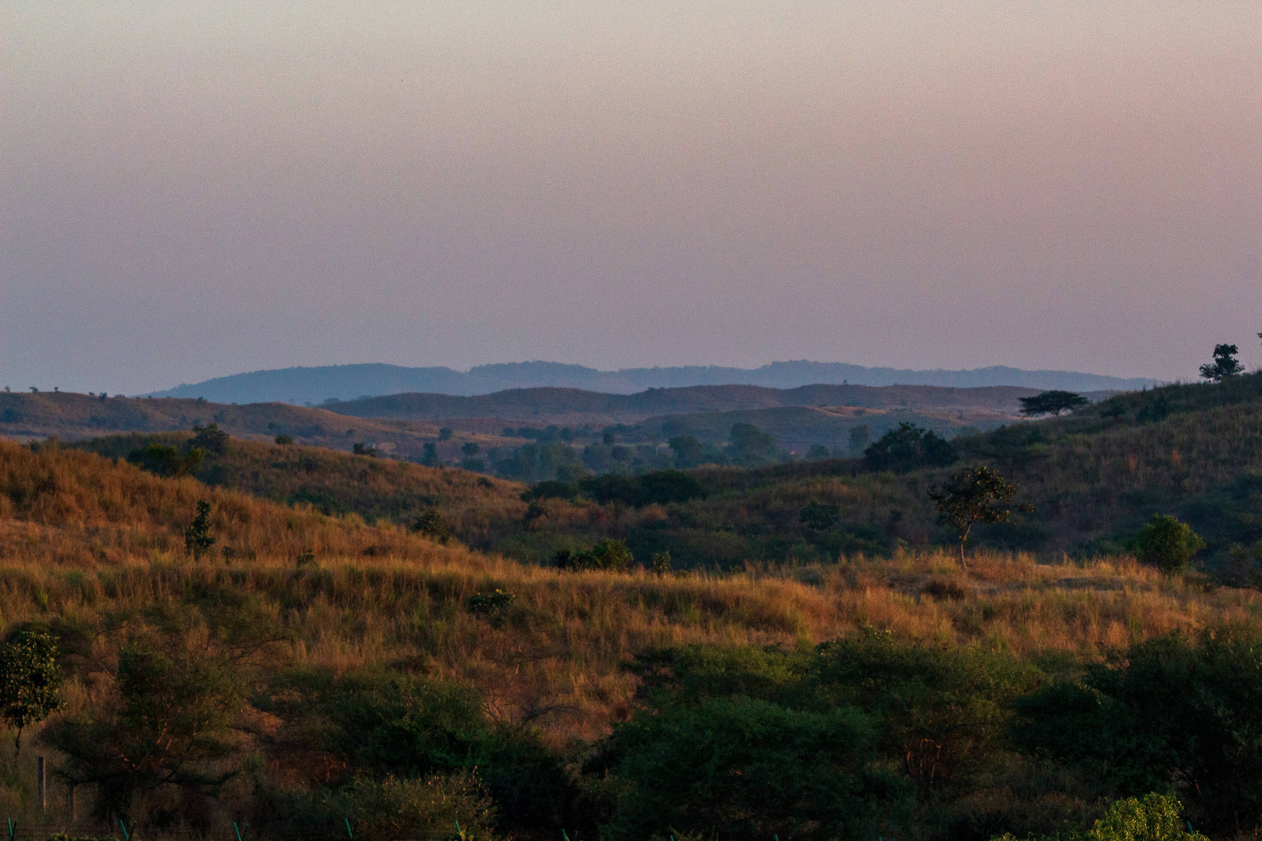 Photo by wildandbeyondbyvivek