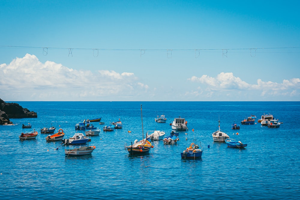 boats on sea