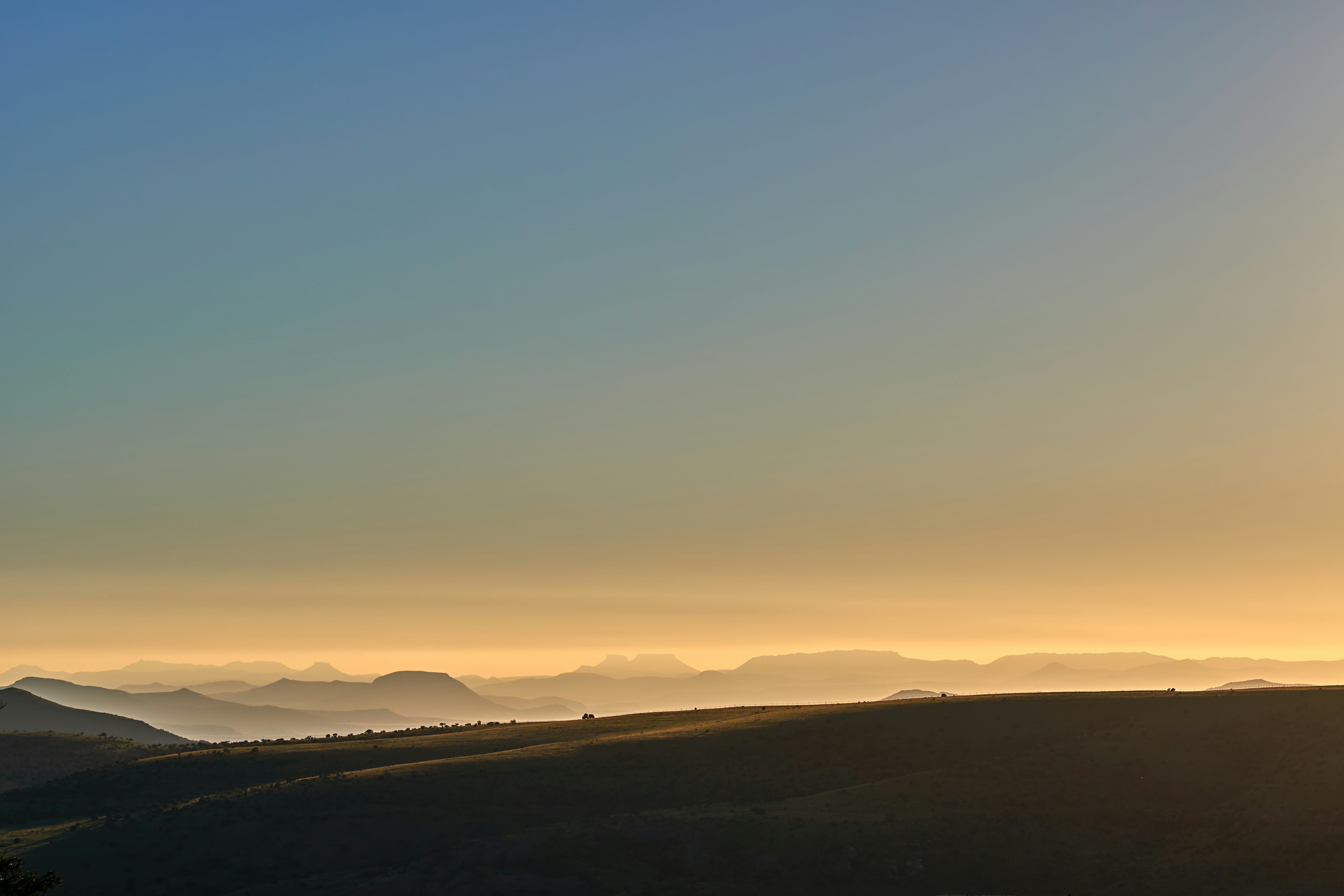 Photo by wolfgang_hasselmann