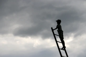 person on ladder