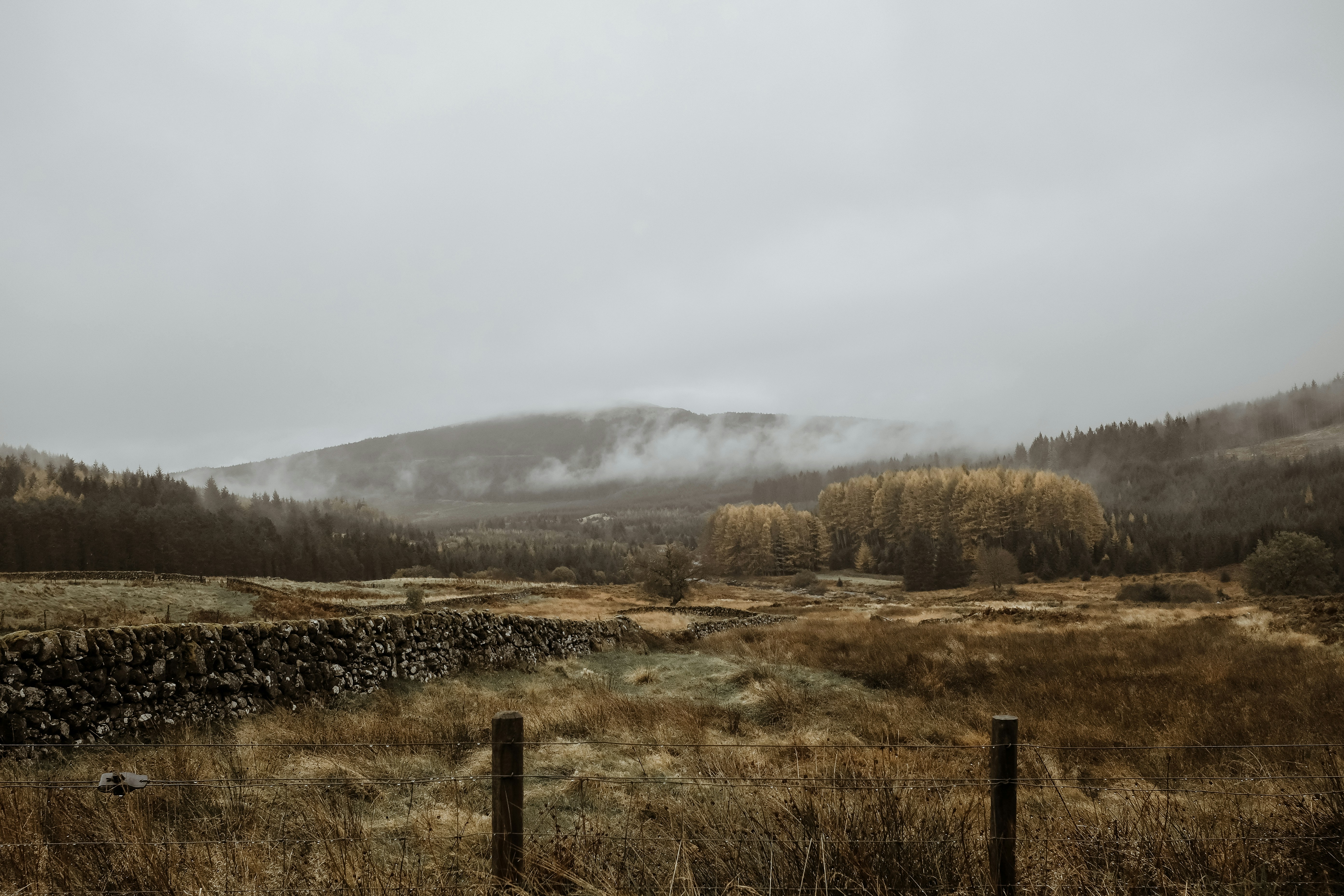 Photo by freshseteyes