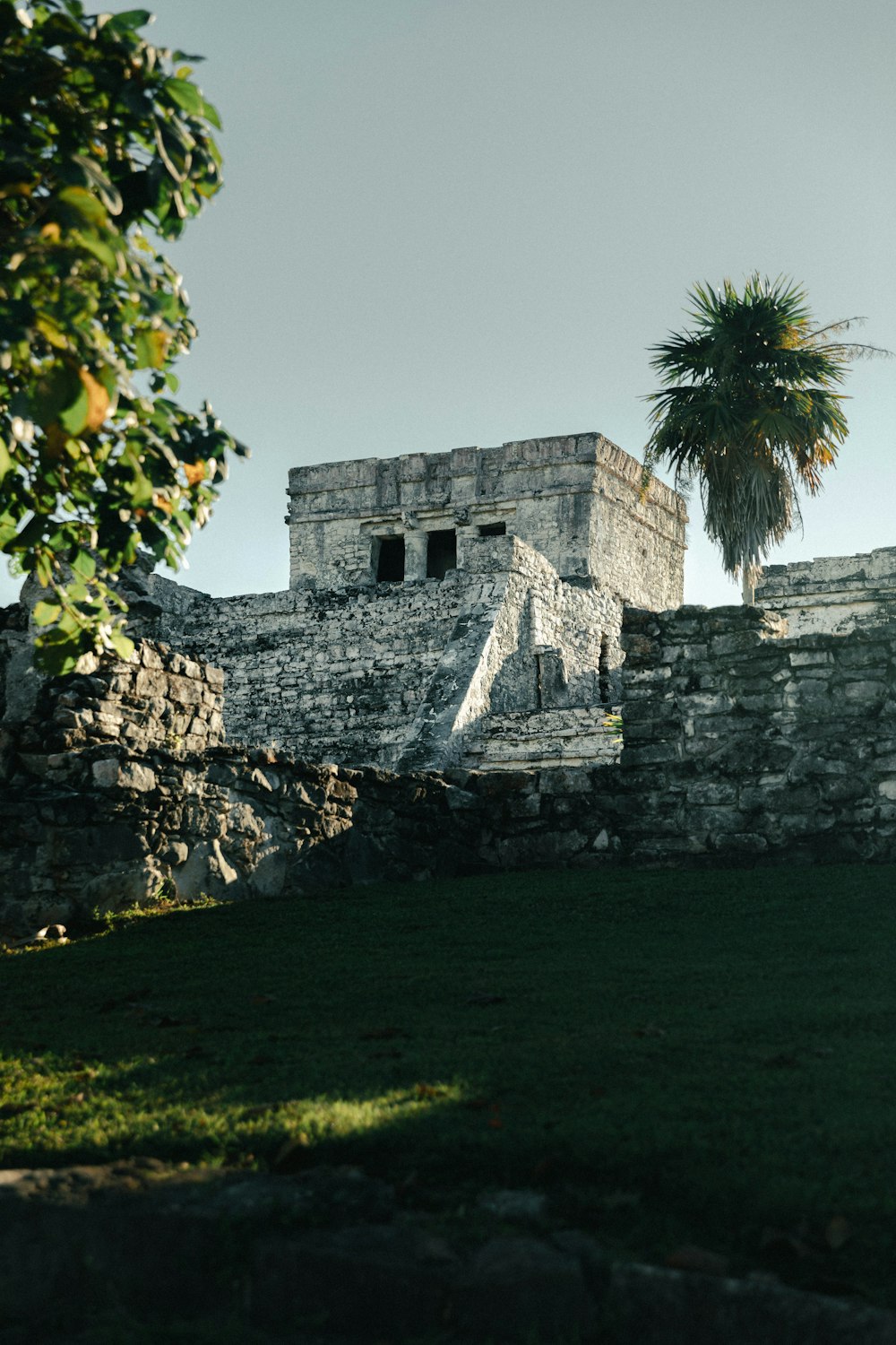 ruins in forest