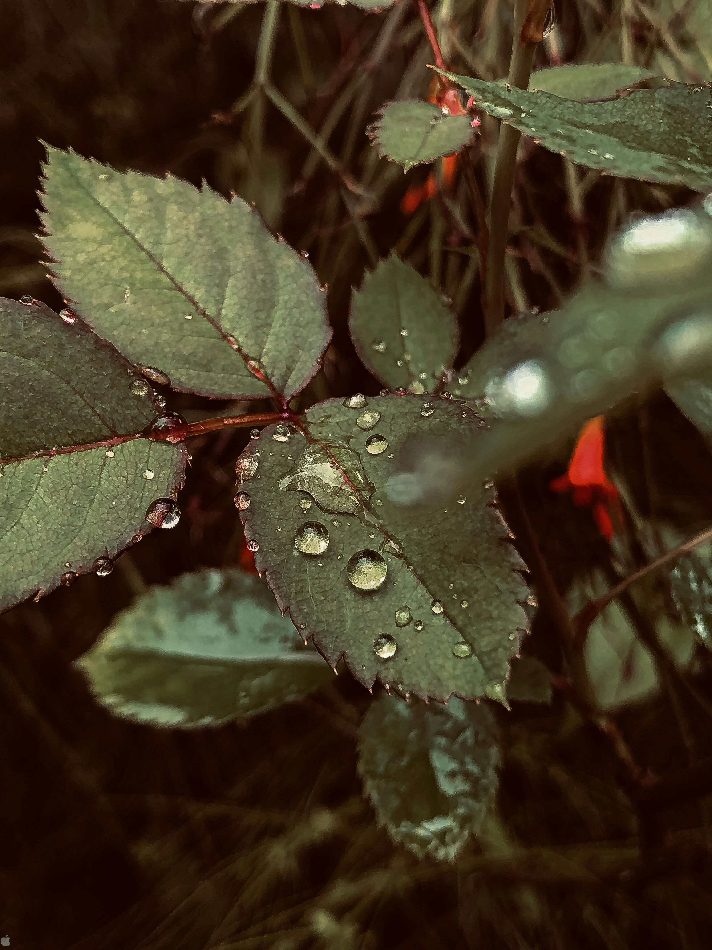 Photo by _arjun