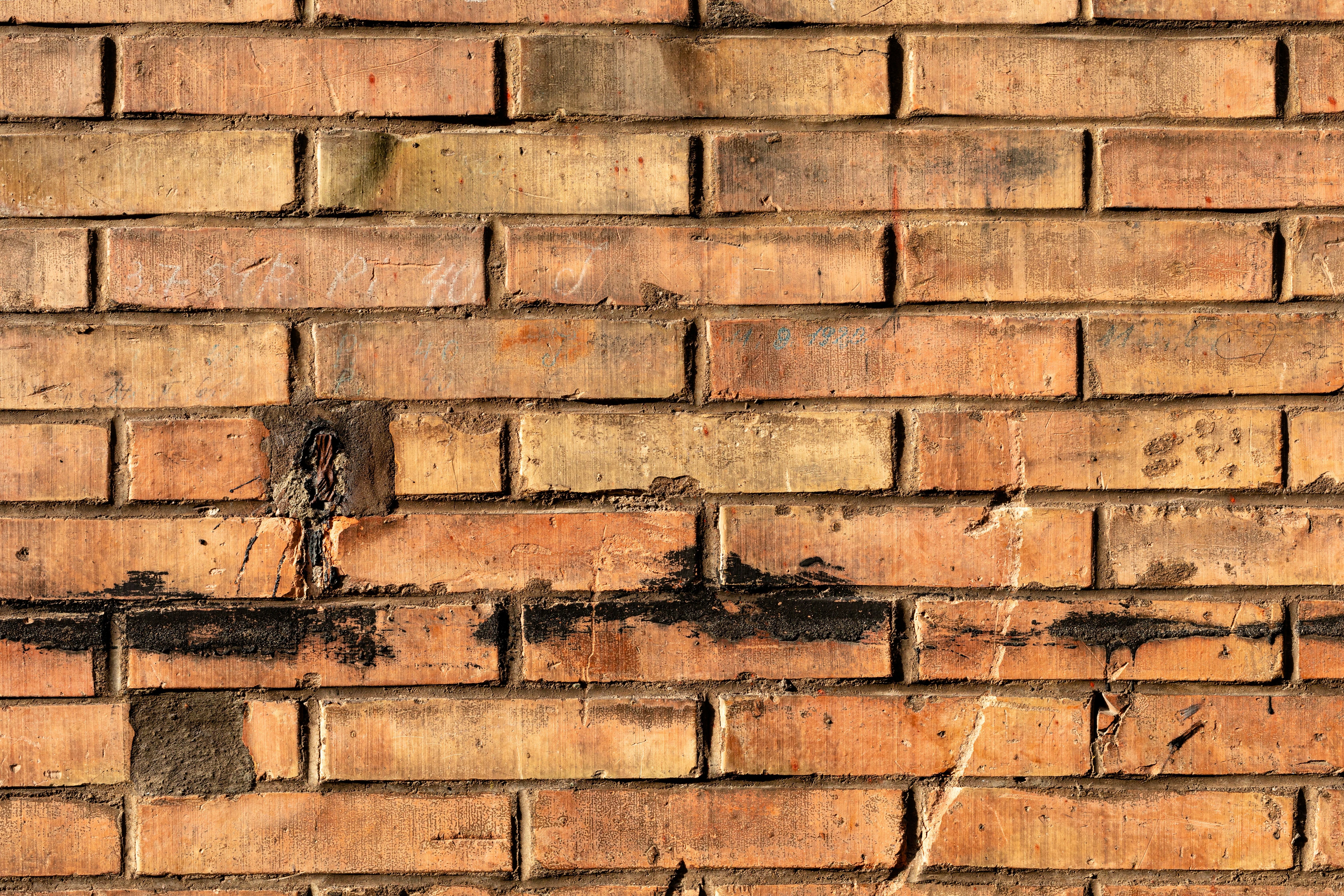 brick wall photo Free Brick Image on Unsplash