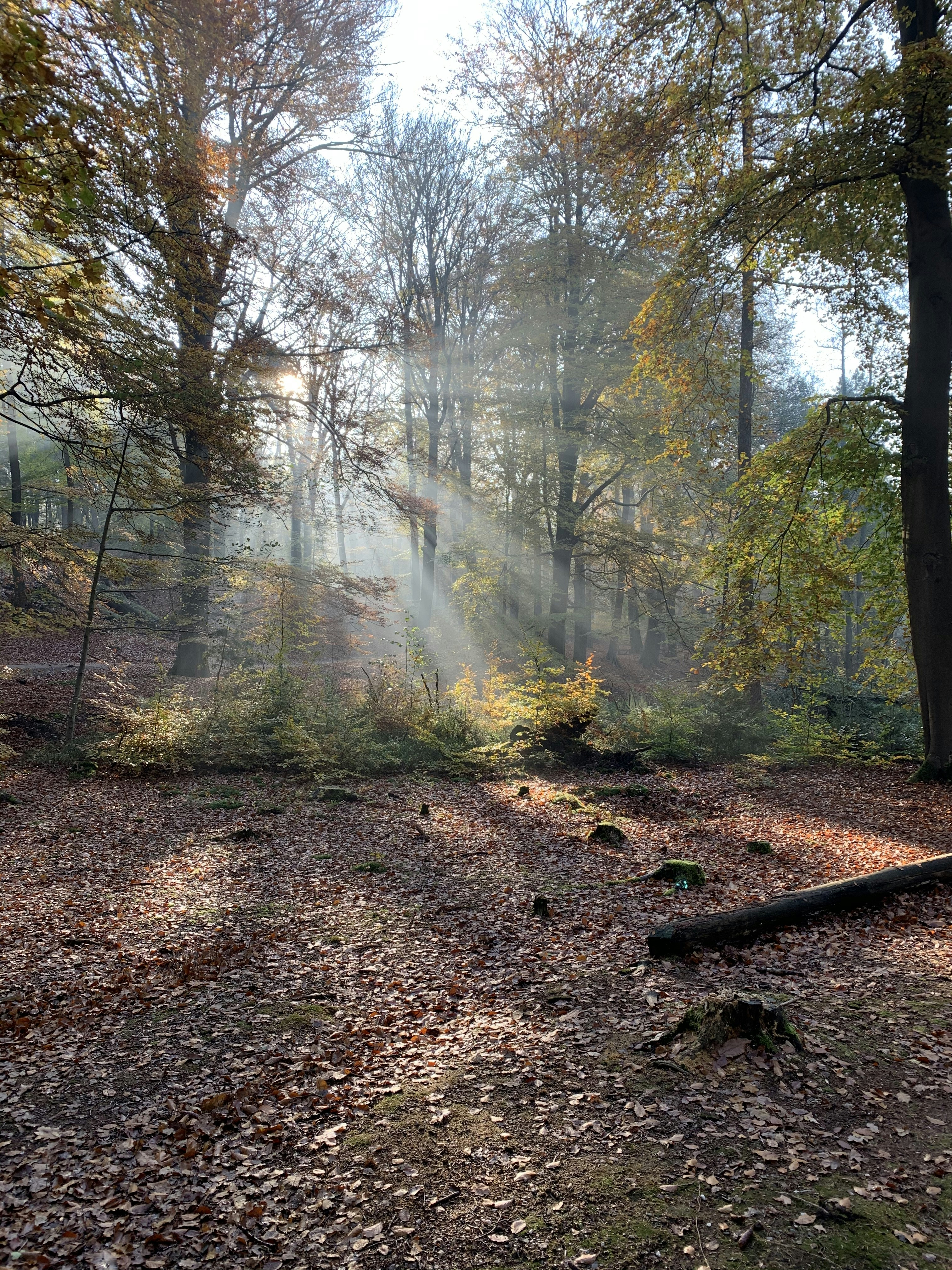 Photo by casteunissen