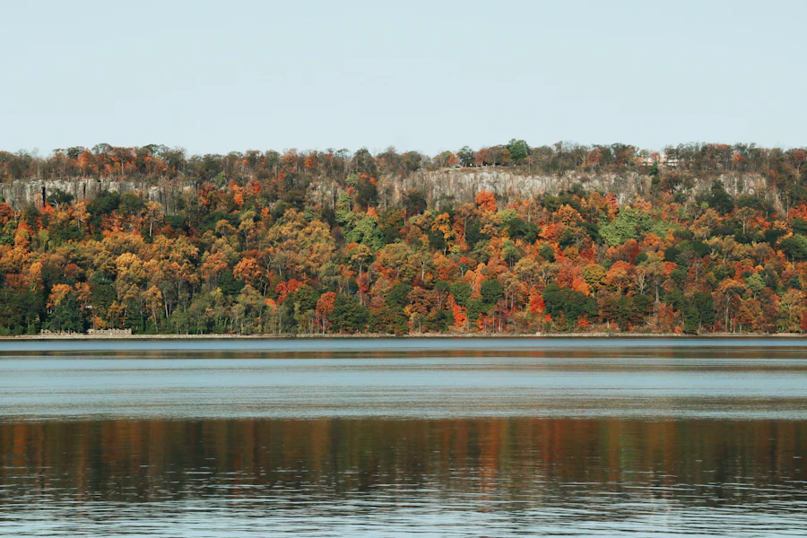 A quiet lake in the Hudson Valley forest
