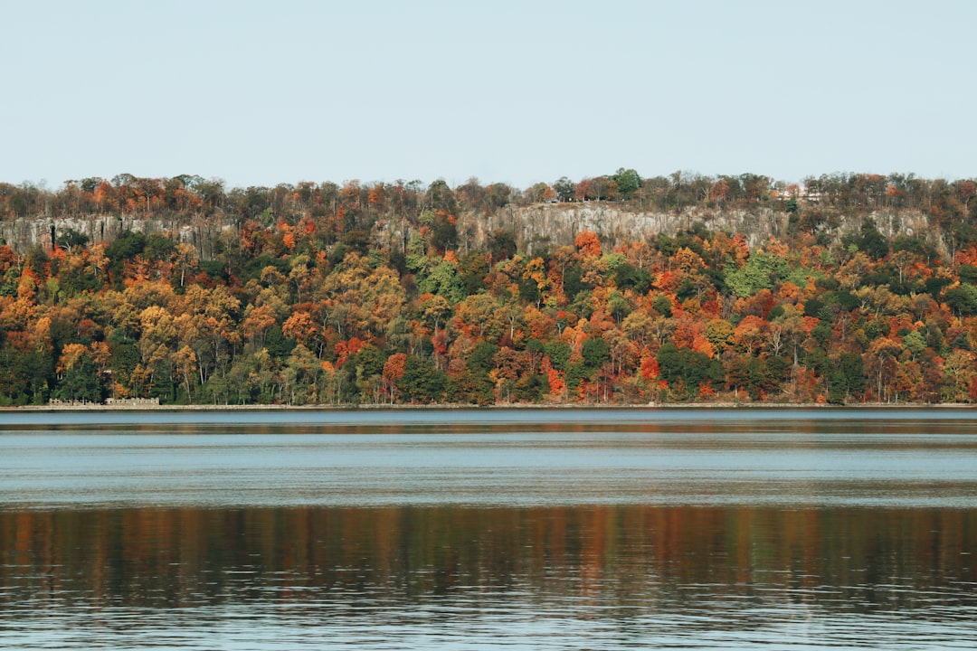 lake in forest,
