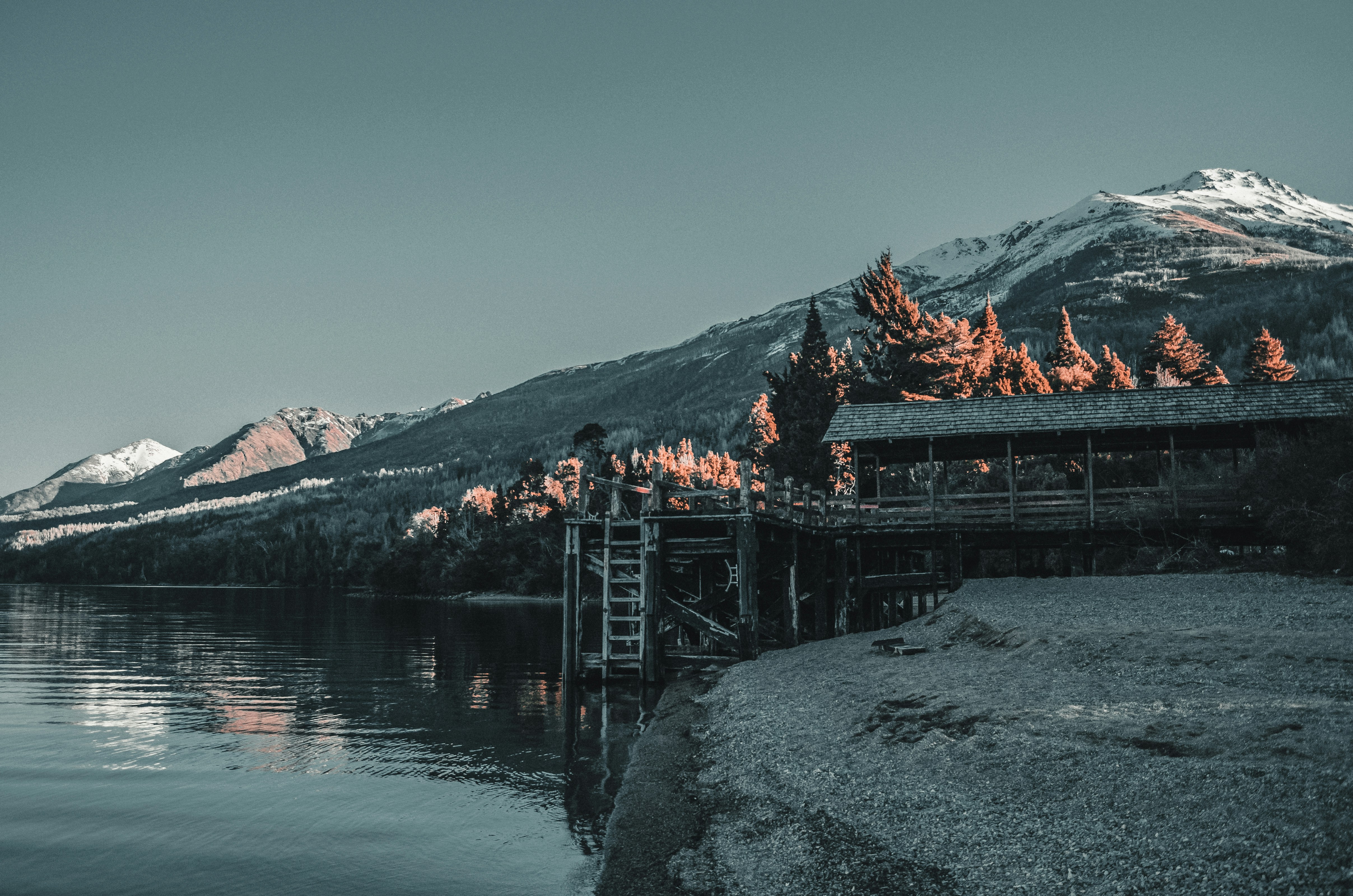 The evolution of your money today