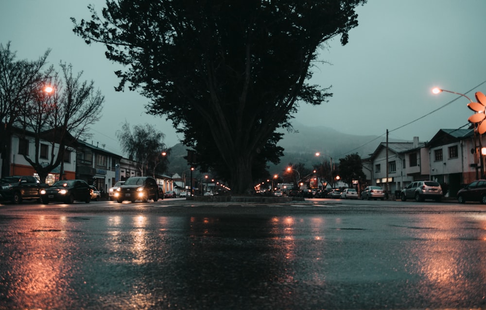 parked vehicles on road