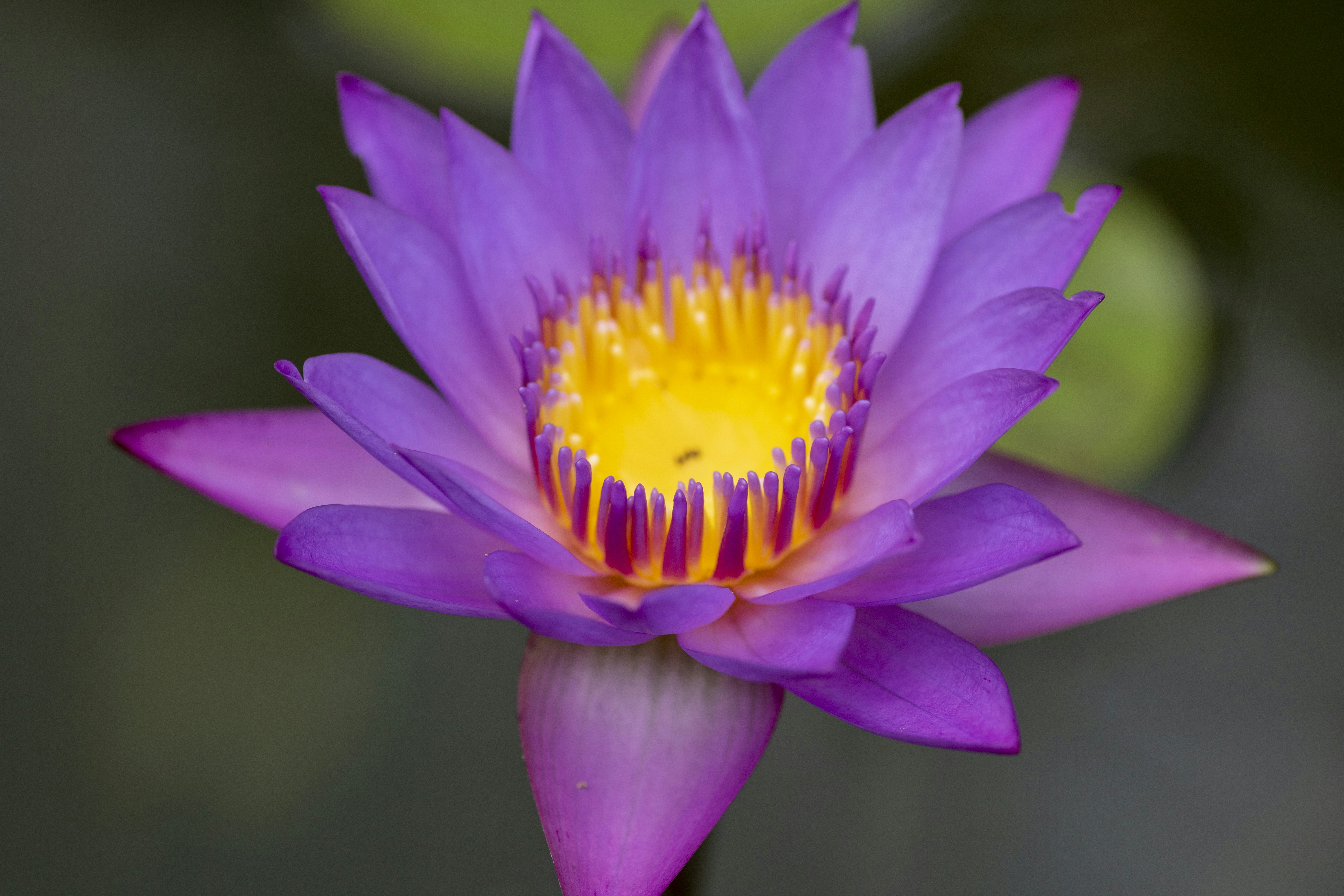 Photo by cherykhroberto