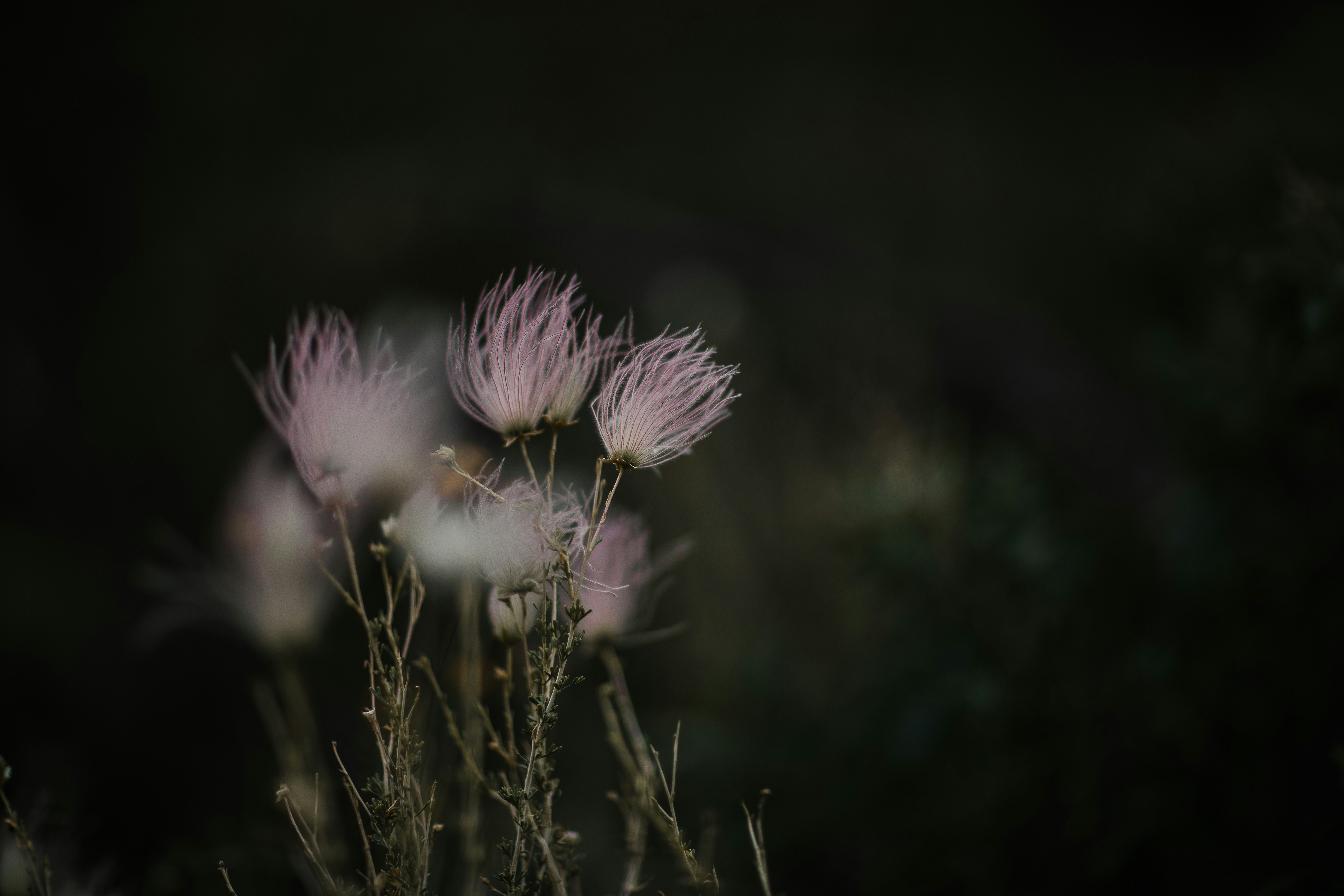 건강보험 피부양자 자격조건 총정리