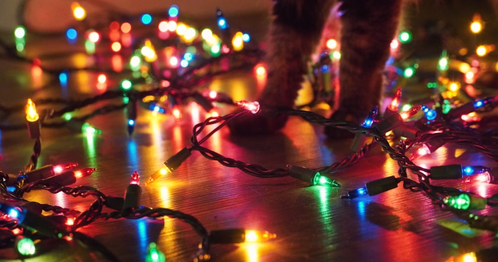 person standing near multi-colored string lights on floor